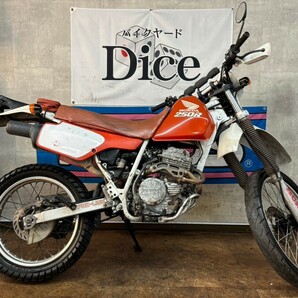 ★XL・XLRシリーズ！ ホンダ XLR250R MD22 実働 RFVCエンジン オフロード 4スト 林道 バイク 京都 検: MD20 BAJA MD30の画像3