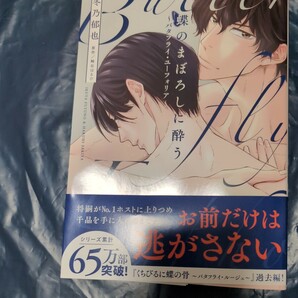 蝶のまぼろしに酔う バタフライユーフォリア 冬乃郁也 DC 4月新刊の画像1