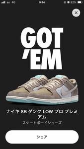 Nike SB Dunk Low Pro Big Money Savings ナイキ SB ダンク ロー プロ ビッグマネー セービングス 29.5cm US11.5