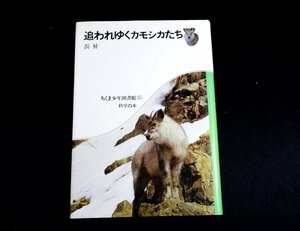 『追われゆくカモシカたち　ちくま少年図書館35』浜昇