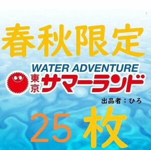 春秋限定東京サマーランド 1Dayパス　パスポート25枚