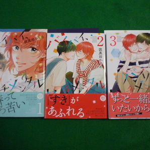 BLコミックス★波真田かもめ「バイバイ、センチメンタル」全３巻/リーフレット2枚小冊子付きの画像1