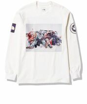 THE NORTH FACE TRANS ANTARCTICA ロングスリーブTシャツ サイズL_画像1