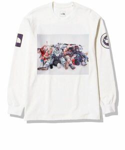 THE NORTH FACE TRANS ANTARCTICA ロングスリーブTシャツ サイズL