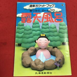 c-454 ※14 道新ポケットブック ゆったり、の〜んびり露天風呂 北海道新聞社