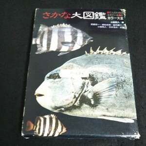 e-636 さかな大図鑑 株式会社週刊釣りサンデー 1991年第12刷発行※14