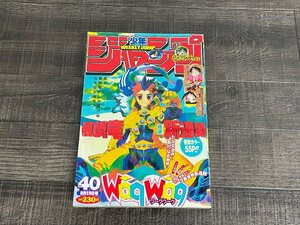 中古品◆週刊少年ジャンプ◆2004年9月13日40号/表紙WaqWaq新連載/アイシールド21/ワンピース/シャーマンキング◆D0045