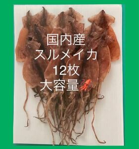 北海道産スルメイカ12枚セット おつまみ　珍味　あたりめ　するめいか　北海するめ　送料込み