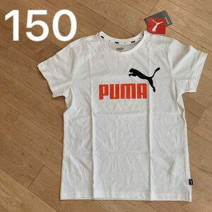 PUMA Tシャツ　白　150