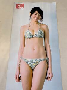 等身大ポスター中村静香 月刊エンタメ2015年2月号応募者全員サービス/元箱あり