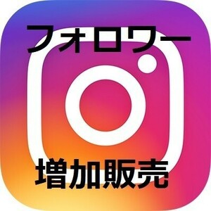 Instagram 1000人 フォロワー インスタグラム