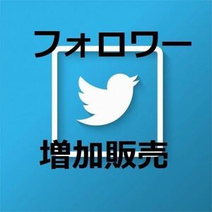 Twitter 1000人 フォロワー ツイッター 外国人