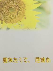 桜色ジャンキー／樹里 銀魂 同人誌 小説「夏来たりて、目覚め」 坂田銀時×土方十四郎