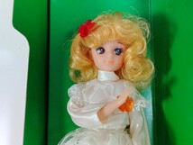 【未使用品】★ツクダオリジナル★おとぎの国からやってきた エミちゃん★1970年代★着せ替え人形★入手困難★レトロ★ビンテージ_画像5