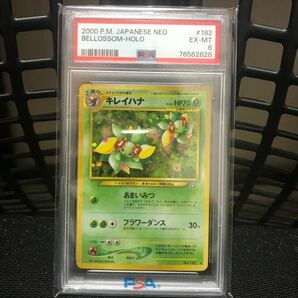 1円〜 キレイハナ 旧裏 psa6の画像1