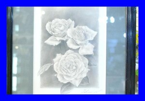 Art hand Auction ○新品同様 絵画 沼達琢磨 鉛筆画 バラ 薔薇 額入り, 美術品, 絵画, 鉛筆画, 木炭画