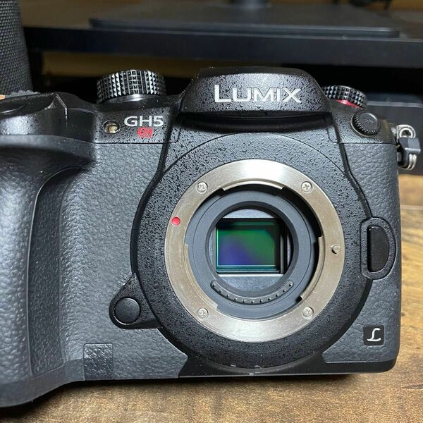 LUMIX Gh5s Panasonic