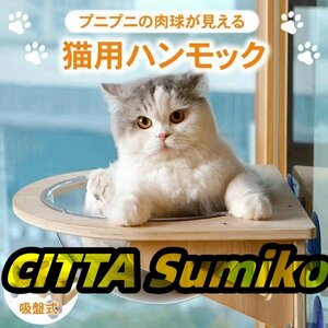 猫用 ハンモック 窓 宇宙船型 猫ベッド 強力吸盤 半球 透明 窓 壁 クリアボウル 半球 取り付けタイプ 吸盤ハンモック 耐荷重20kg 頑丈