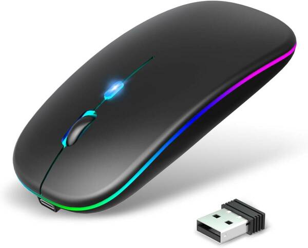 【Type-C充電式】 マウス Bluetooth5.2 無線 ワイヤレス 静音 瞬時接続 超薄型 小型 高感度 USB充電式 2.4GHz 3段階DPI切替 (black)
