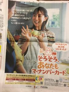 田中みな実　新聞広告2枚セット