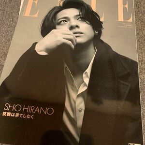 ELLE 平野紫耀