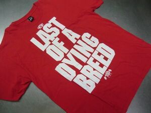 H04 美品◆10DEEP テンディープ 半袖Tシャツ MADE IN THE USA L