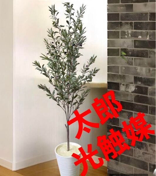 光触媒 人工観葉植物 ウォールグリーン フェイクグリーン 室外用オリーブ140