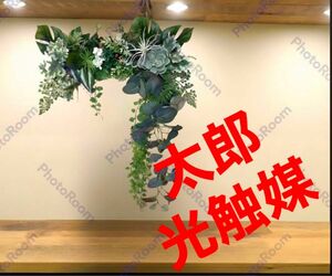 光触媒　人工観葉植物　ウォールグリーン　フェイクグリーン　壁掛け305