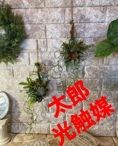 光触媒　人工観葉植物　ウォールグリーン　フェイクグリーン　壁掛け流木アレンジ@gq
