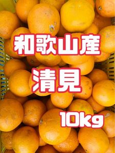 【和歌山産】清見10kg 訳あり　タンゴール　オレンジ　みかん　きよみ　柑橘