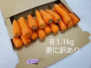 にんじん　1.1kg　わけあり　熊本県産