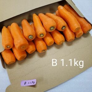 にんじん　1.1kg　わけあり　熊本県産