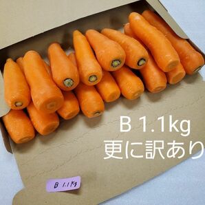 にんじん　1.1kg　更に訳あり　熊本県産