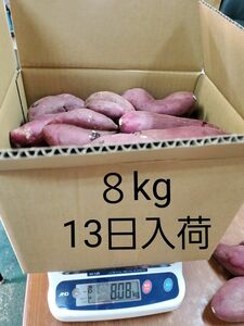 紅はるか　8kg　わけあり　熊本県産