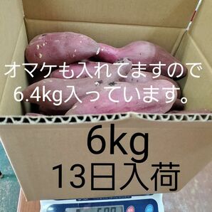 紅はるか　6kg　わけあり　熊本県産