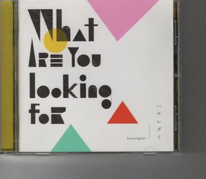 アルバム！ハナレグミ [What are you looking for] 野田洋次郎