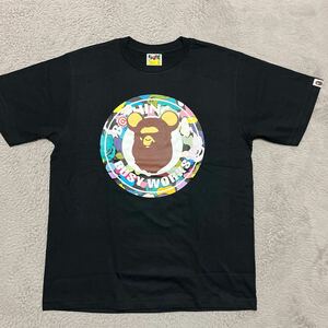 A BATHING APE BAPE KAWS MEDICOM TOY MULTI CAMO 迷彩　Be@r Brick tee tシャツ マルチ　レインボー　L 黒　ブラック　BABY MILO 