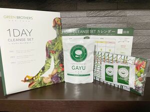 GREEN BROTHERS 1DAY CLEANSE SET GB1DAYクレンズ　