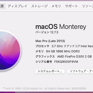 Apple MacPro A1481 macOS クアッドコア Xeon E5 3.7GHz 64GB 256GB(SSD)の画像6
