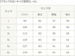  [セシール] ビジュー使いAラインチュニック プランプ 大きいサイズ NB-4378 レディース ボルドー 日本 ４Ｌ (日本サイズ4L相当) 162-360