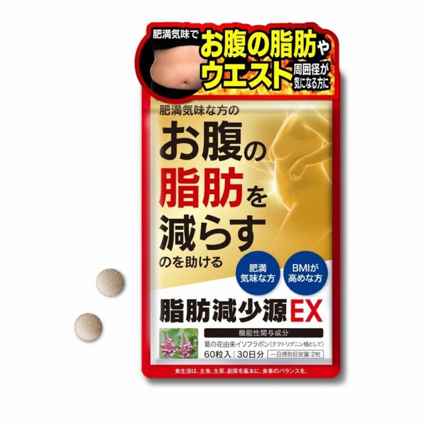 【新品】脂肪減少源 EX 60粒入り 15g（250mg×60粒）機能性表示食品