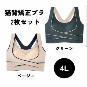 2枚4L　3XL ベージュ 猫背矯正ブラ　姿勢　ブラジャー　ナイトブラ　垂れ予防