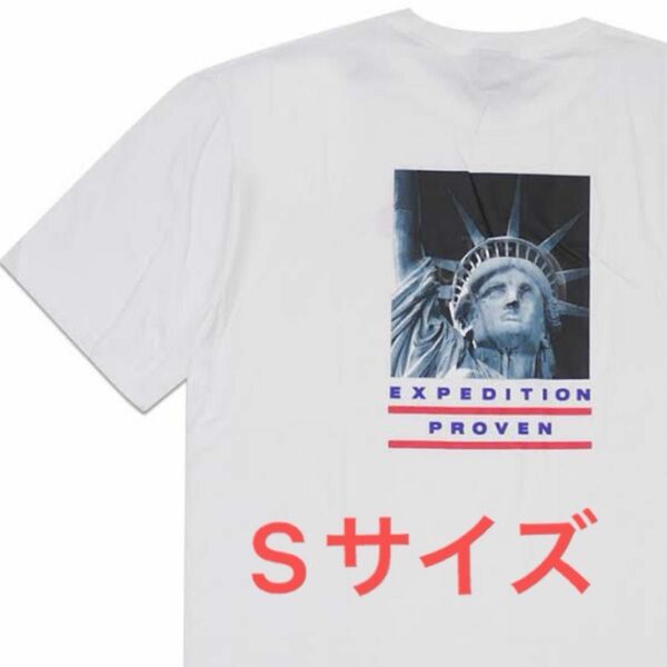 supreme × The North Face コラボ　自由の女神 Tシャツ シュプリーム