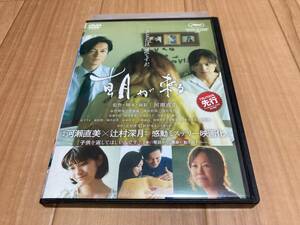 DVD 朝が来る　永作博美 井浦新