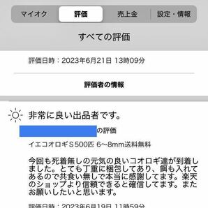 《全国配送》《送料無料》《10％増量》   《エサ付き》 ML 17〜20mm 100匹クロコオロギ イエコオロギ フタホシコオロギの画像2