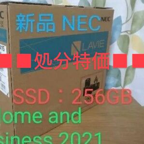 NEC LAVIE N14 N1415/CAW PC-N1415CAW/14インチ/Athlon Silver 3050U/メモリ