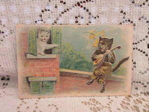 アンティーク　ポストカード　絵葉書　猫　CATS　マンドリン　煉瓦の家　弾き語り　太陽　月　銀彩　アメリカ切手1910年