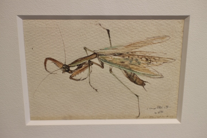 Célèbre artiste décédé Iwami Furusawa aquarelle (manuscrite) autographe d'insecte de mante religieuse. ``Iwami.F LVll (1957/Année de production), Je pense que ce tableau de cet artiste est rare., peinture, aquarelle, autres