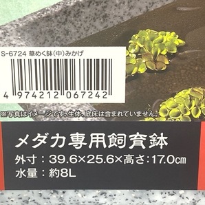 【送料無料】6個セット！ 華めく鉢 中 みかげ 保護ネット 玉網 メダカ 観賞魚 飼育鉢の画像4