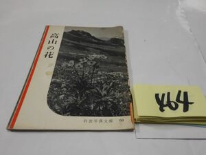 ４６４岩波写真文庫『高山の花』1960